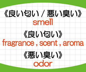 odor-scent-smell-fragrance-違い-英語-におい-意味-使い方-例文-画像2
