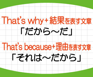 that's-why-that's-because-違い-意味-使い方-例文-画像2