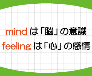 mind,feeling,違い,意味,使い方,例文,画像2